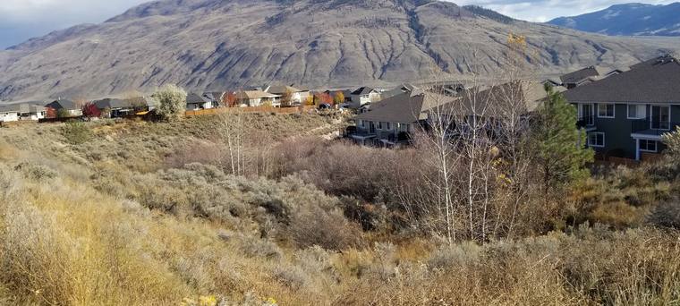 Dry hills above Kamloops.